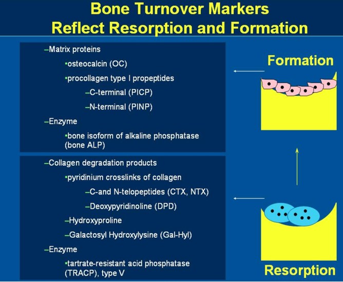 Bone Markers Orthopaedics Plus