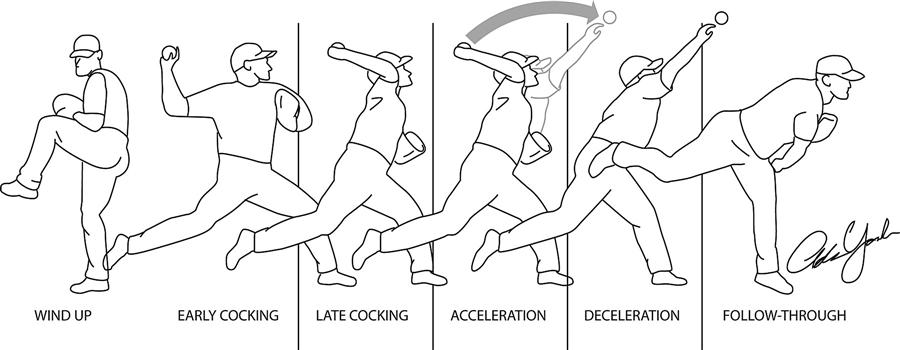 Phases of throwing